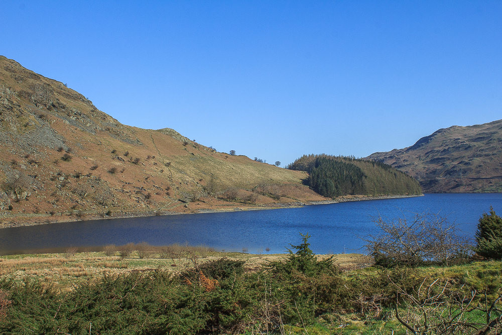 The Rigg